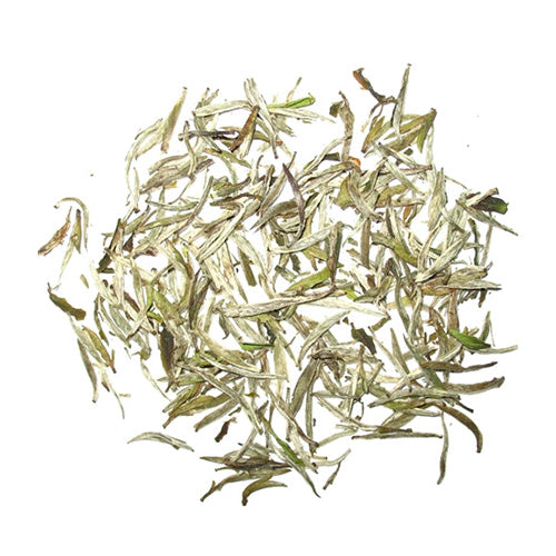 Silver Needle White Tea