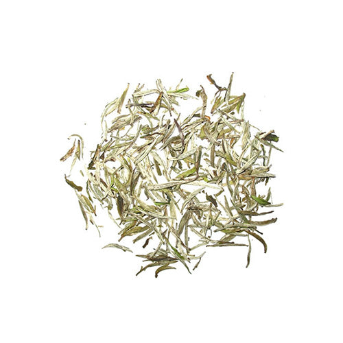 Organic Silver Needle White Tea