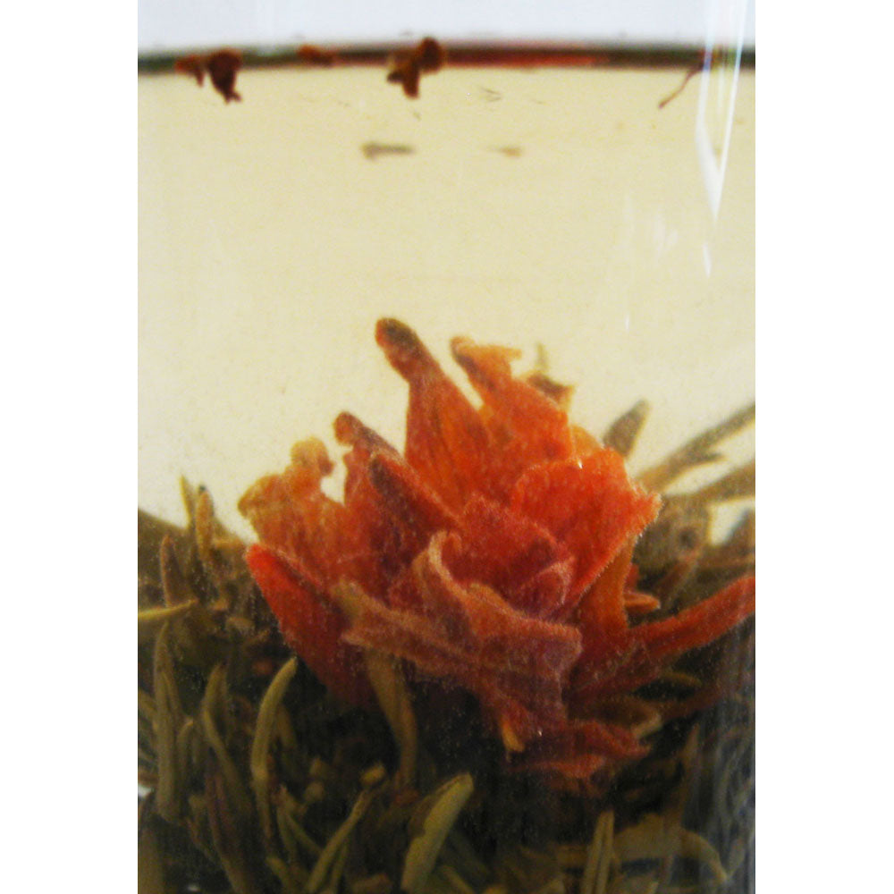 Green Hill Blooming Flower Tea - Lily Osmanthus