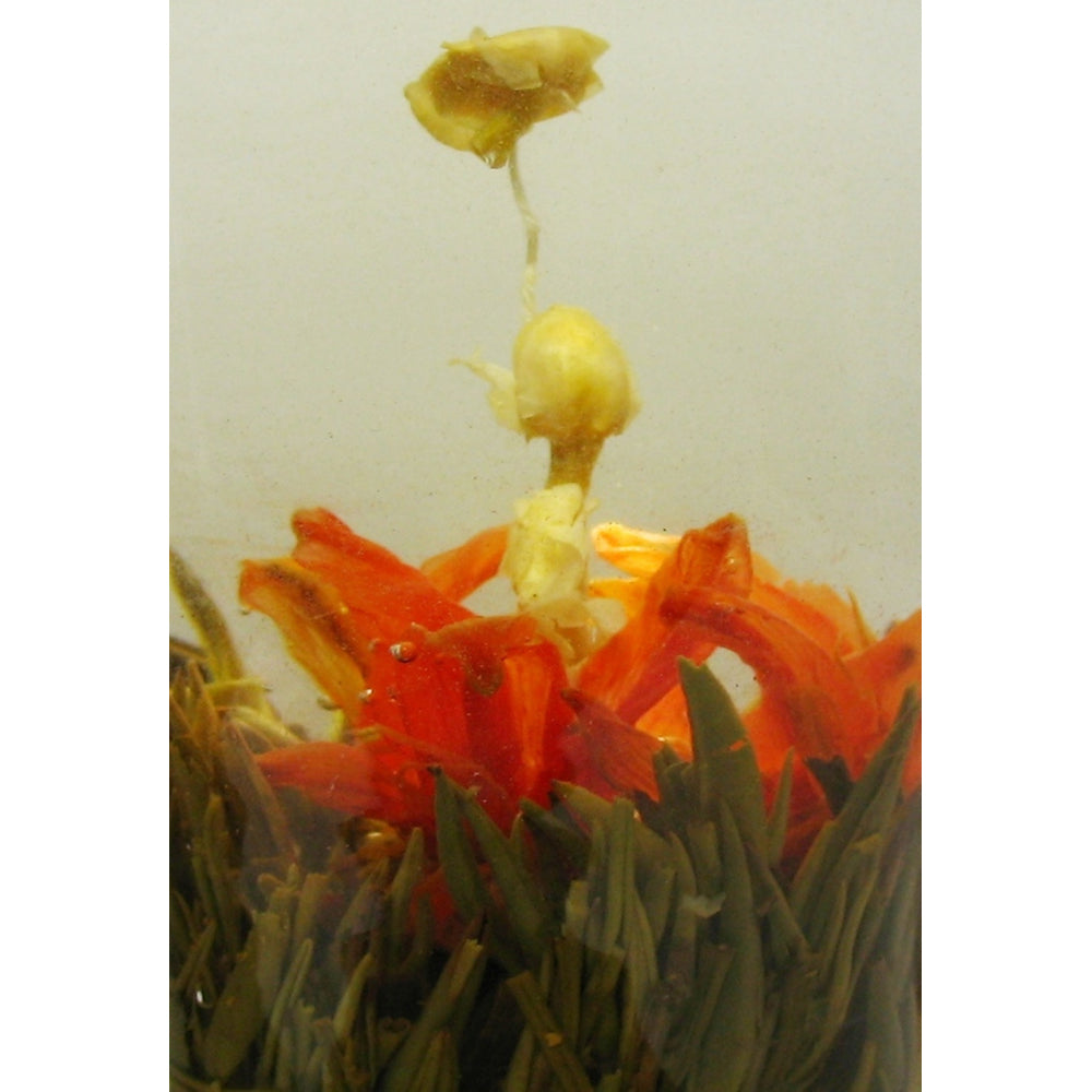 Fairy Lily Blooming Tea